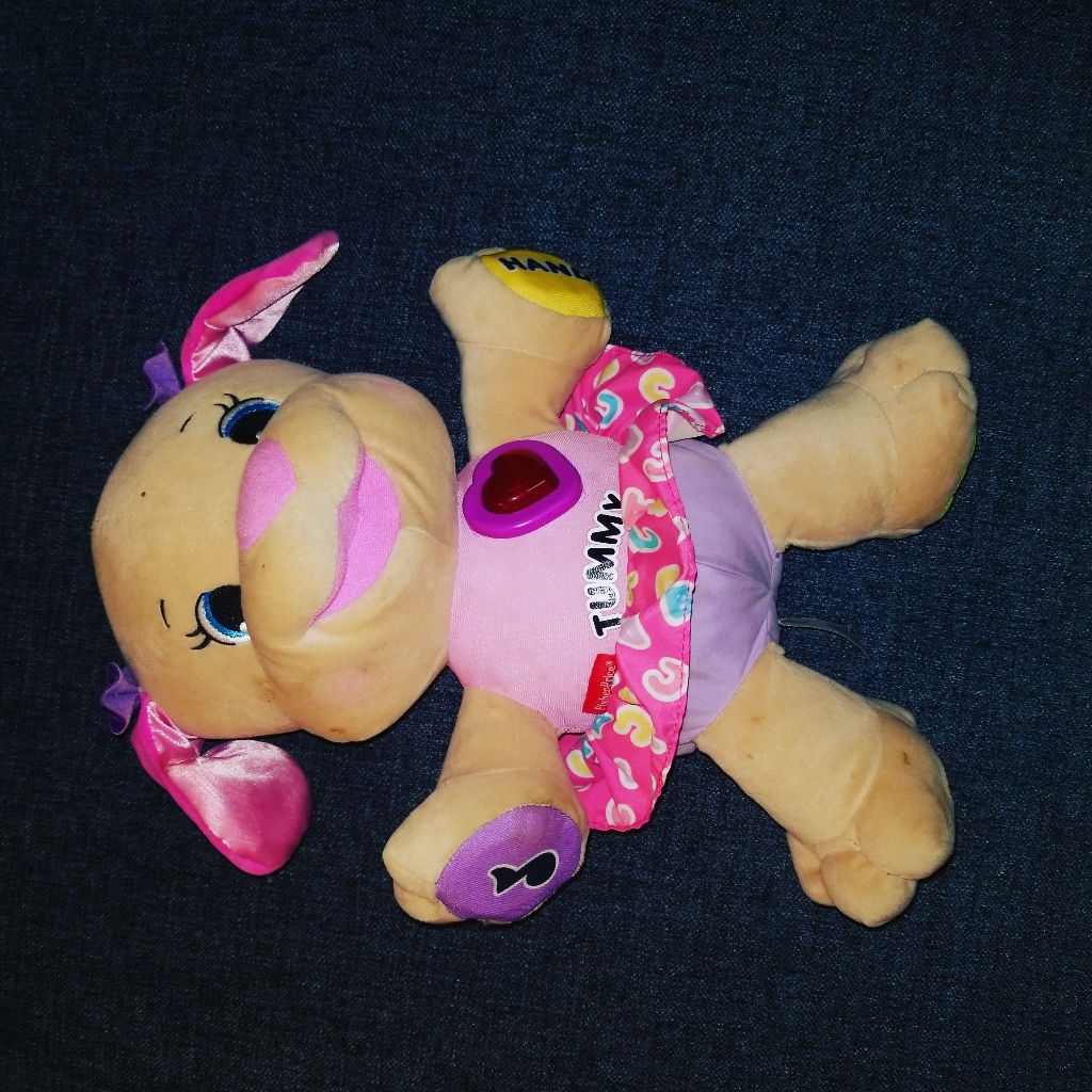 Abc Sing Along Dog